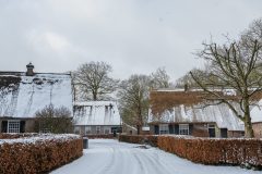 Winter2026-7