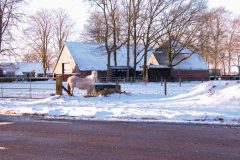 Winter2026-80