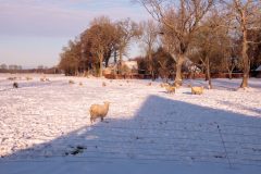 Winter2026-83