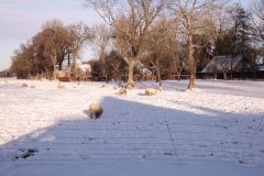 Winter2026-84