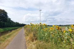 Zomer (jun-jul-aug)