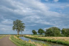 2025-Zomer-1