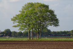 2025-Zomer-18