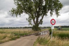 2025-Zomer-3