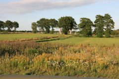 2025-Zomer-38