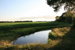 2025-Zomer-39