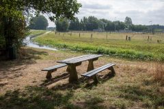 2025-Zomer-43